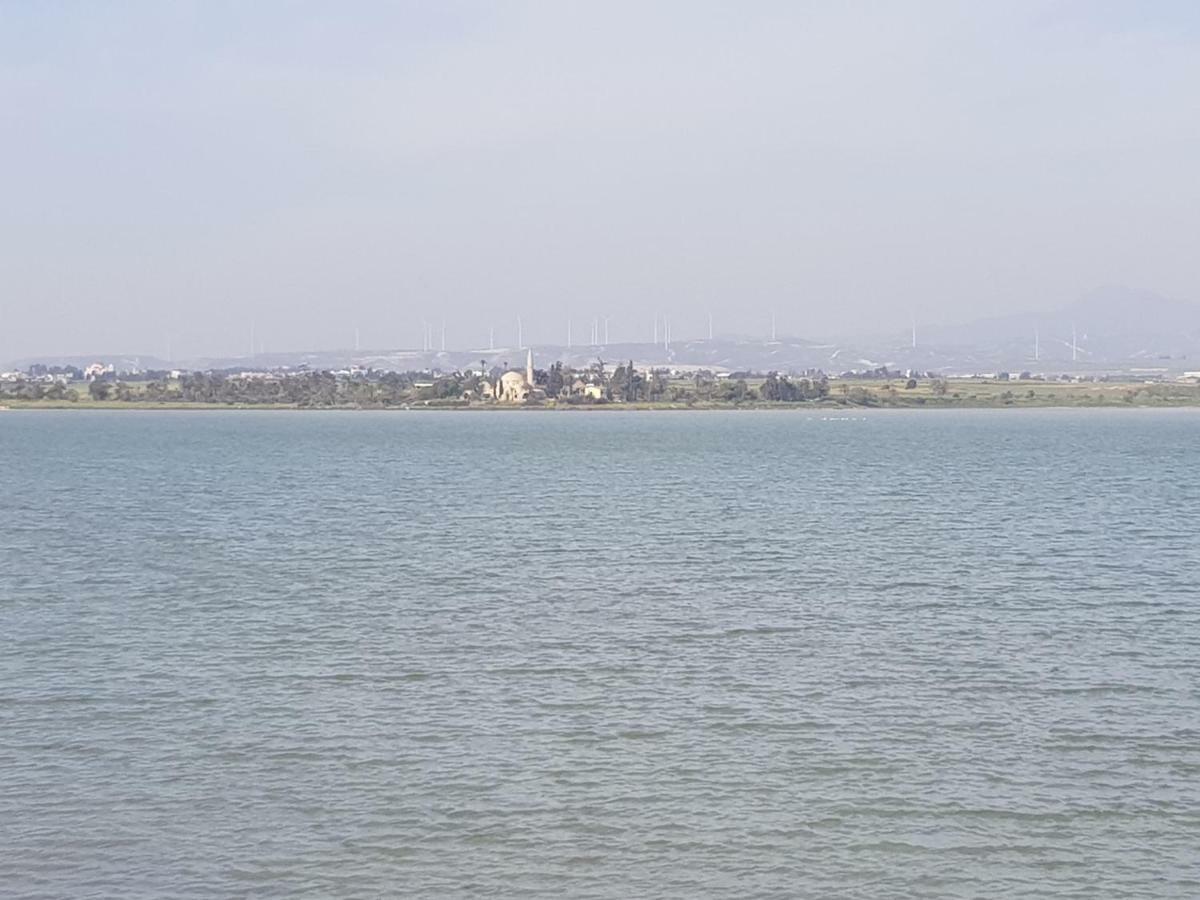 Haig'S Dream Flat On The Beach Larnaca Extérieur photo